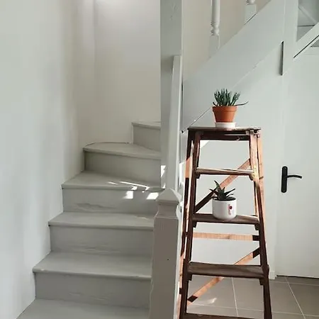 Pavillon D'ay Champagne - Label Key - Epernay, Ay * 雅香槟