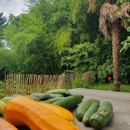 Pavillon D'ay Champagne - Label Key - Epernay, Ay 度假居 *